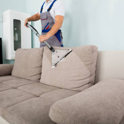 5 Sofa Seats + 5 Cushions